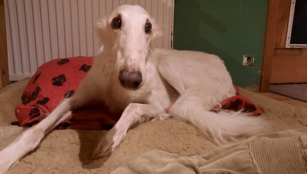 Happy birthday liebe Mira!