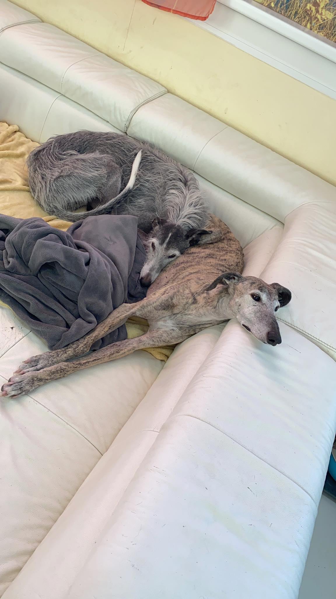 ***VERMITTLUNGSHILFE***