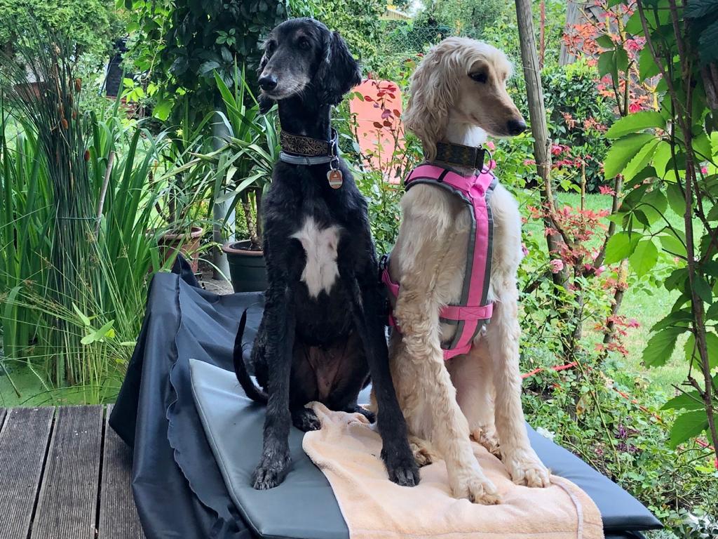 Molly hat es geschafft