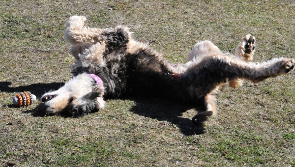 Auch unsere Mechthild musste gehen