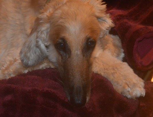 Mach's gut mein Schatz