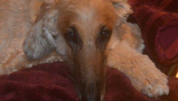 Mach's gut mein Schatz