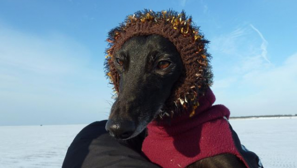 Und noch ein Abschied