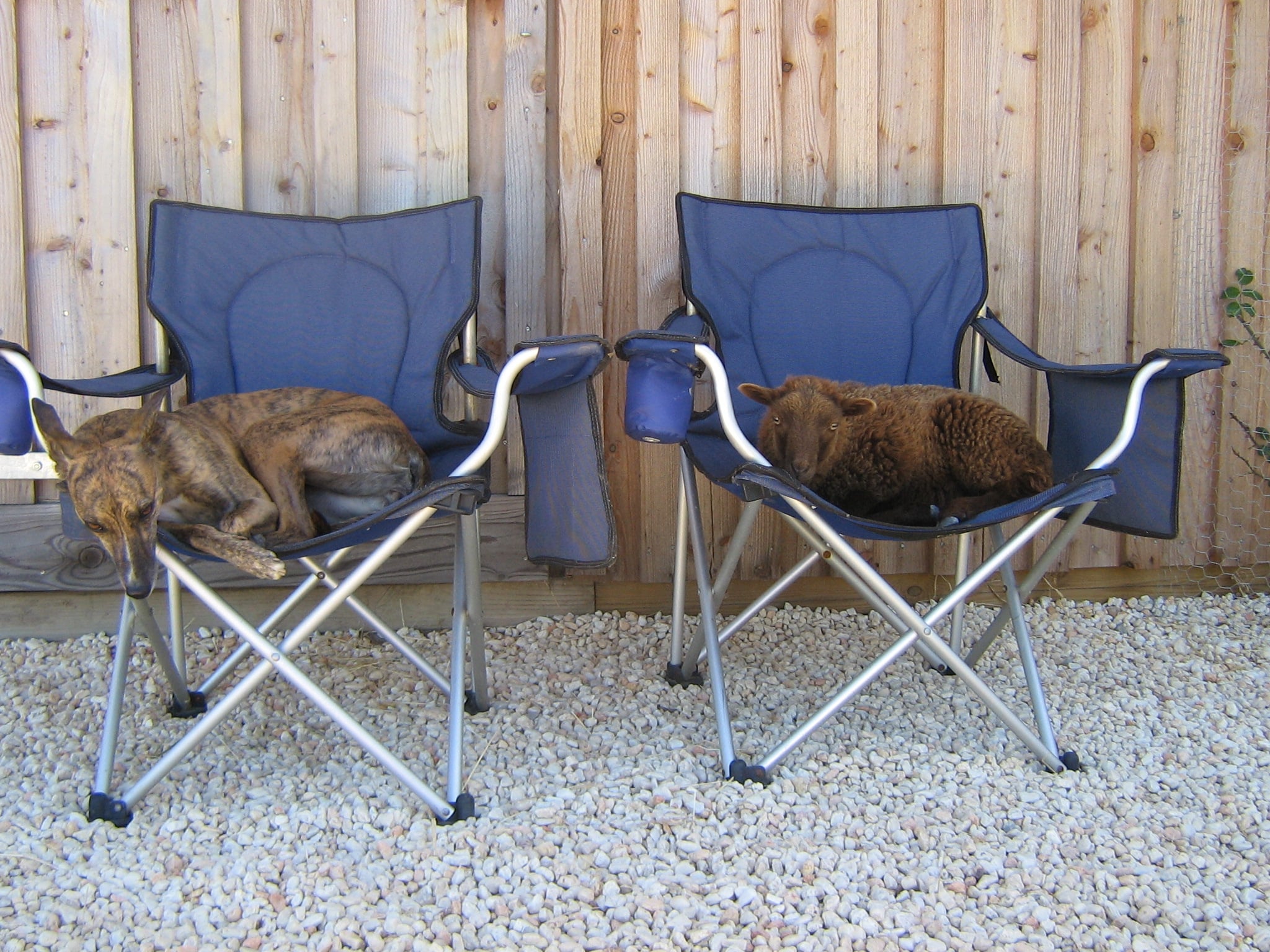 SAM  21.07.2005 – 20.03.2021