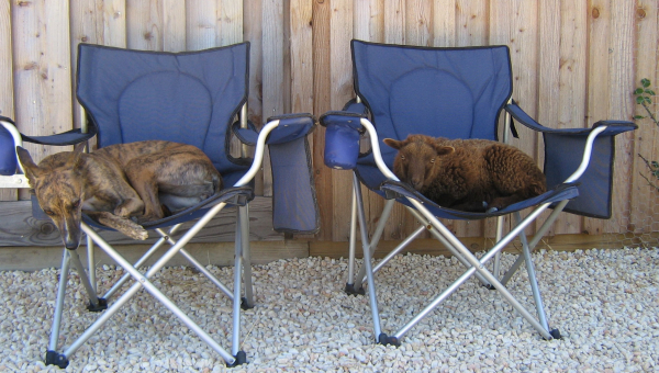 SAM  21.07.2005 – 20.03.2021