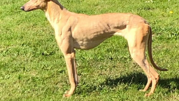 Der Frühling ist endlich da...