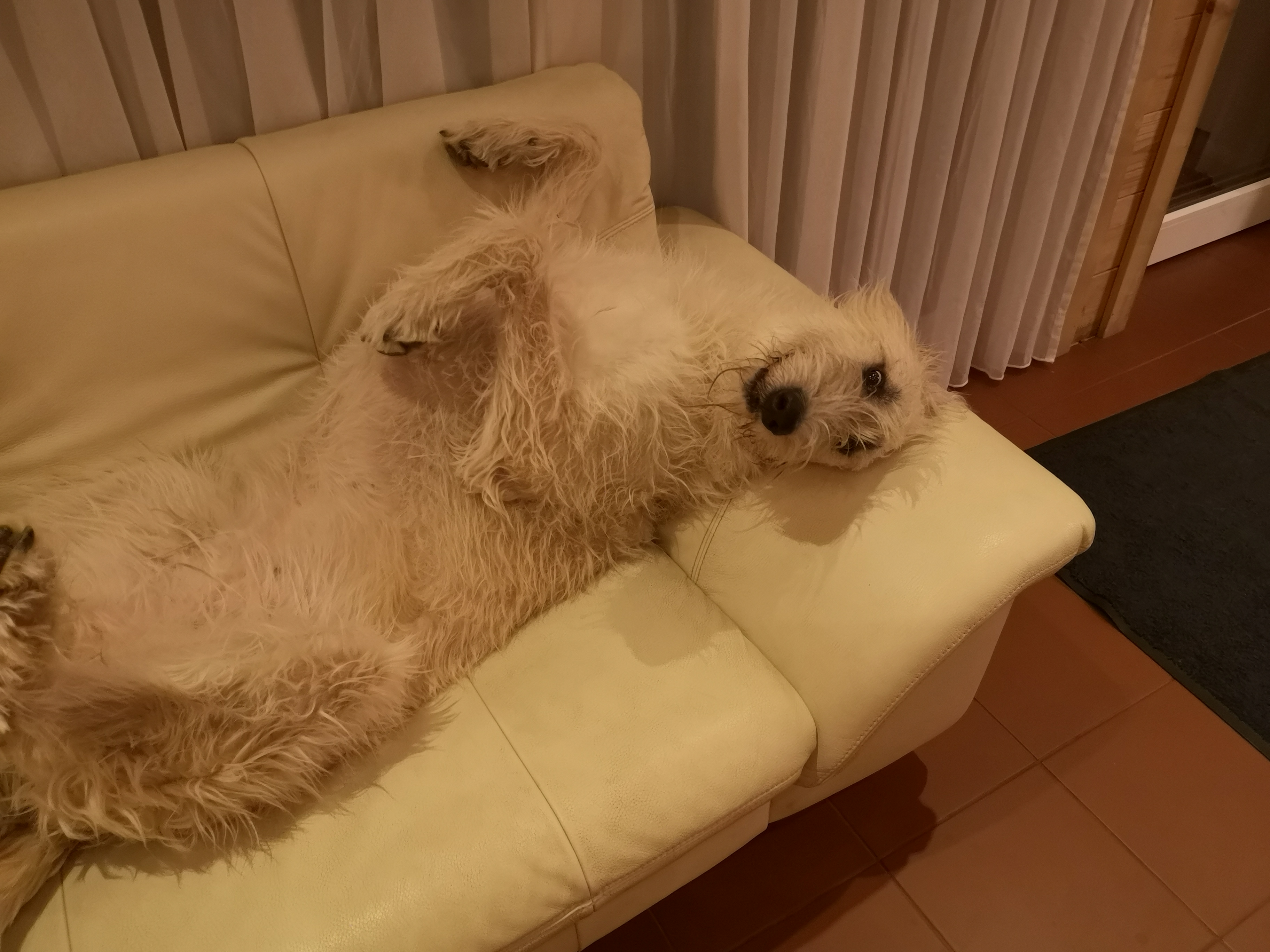 Blümchen *bleibt in ihrer Familie