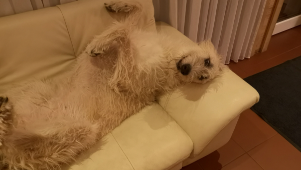 Blümchen *bleibt in ihrer Familie