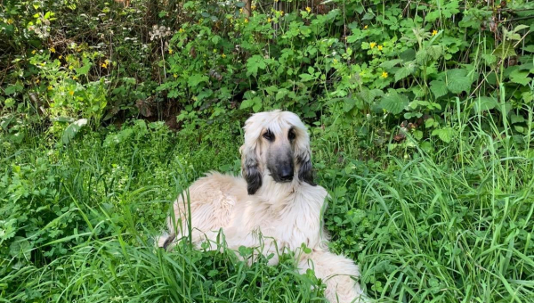 Unsere blonde Schönheit