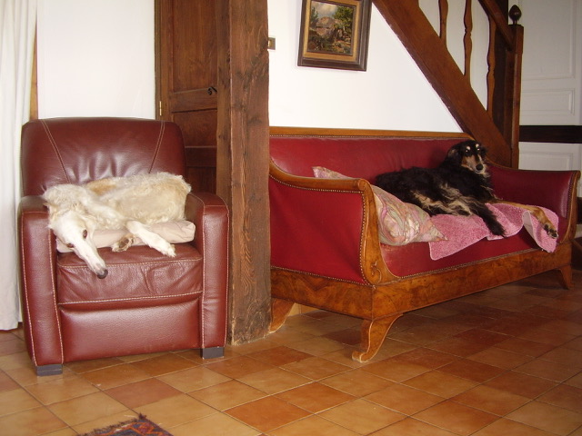 Hier wird Biedermeier getestet….