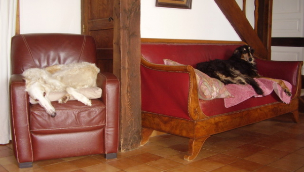 Hier wird Biedermeier getestet….