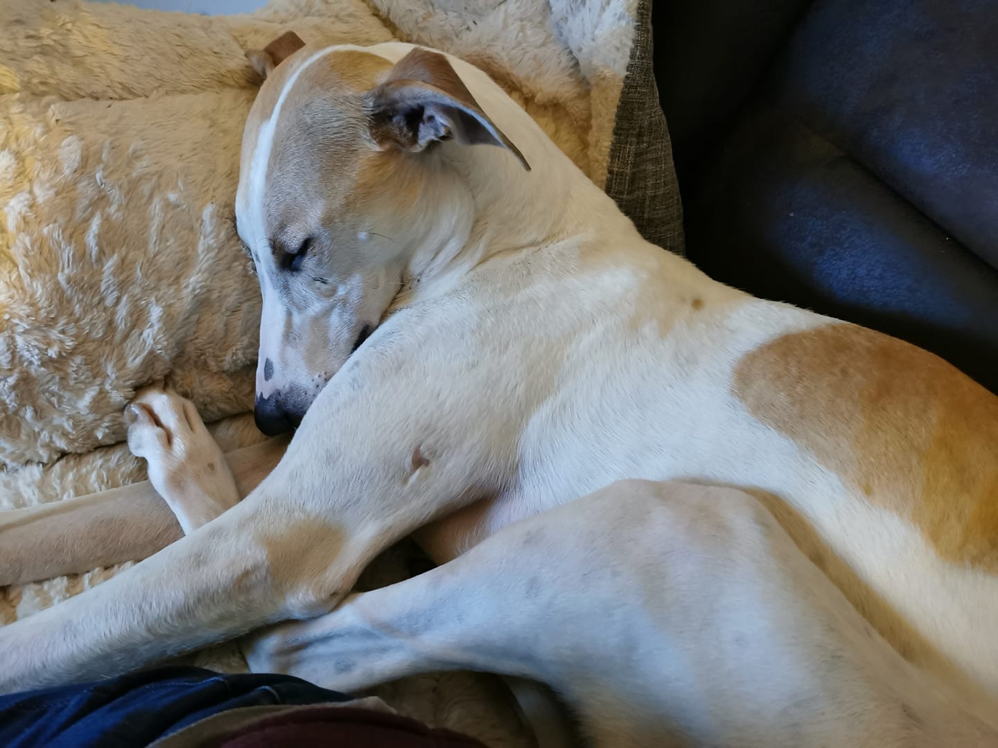 ***VERMITTLUNGSHILFE***