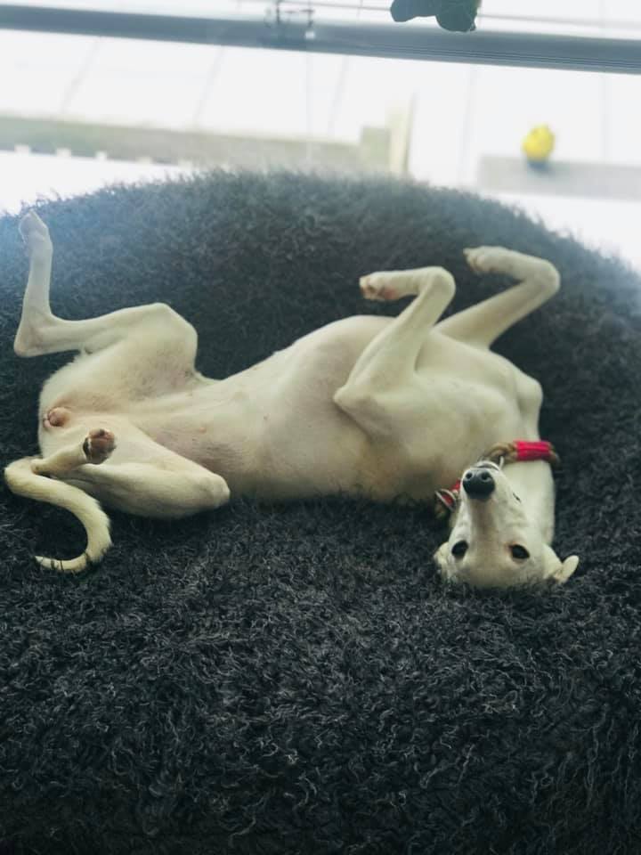 214842926 5751158908259422 1191262036128817567 n