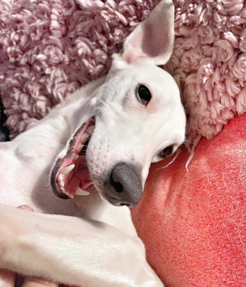 215085944 5751158938259419 6416620175256431716 n