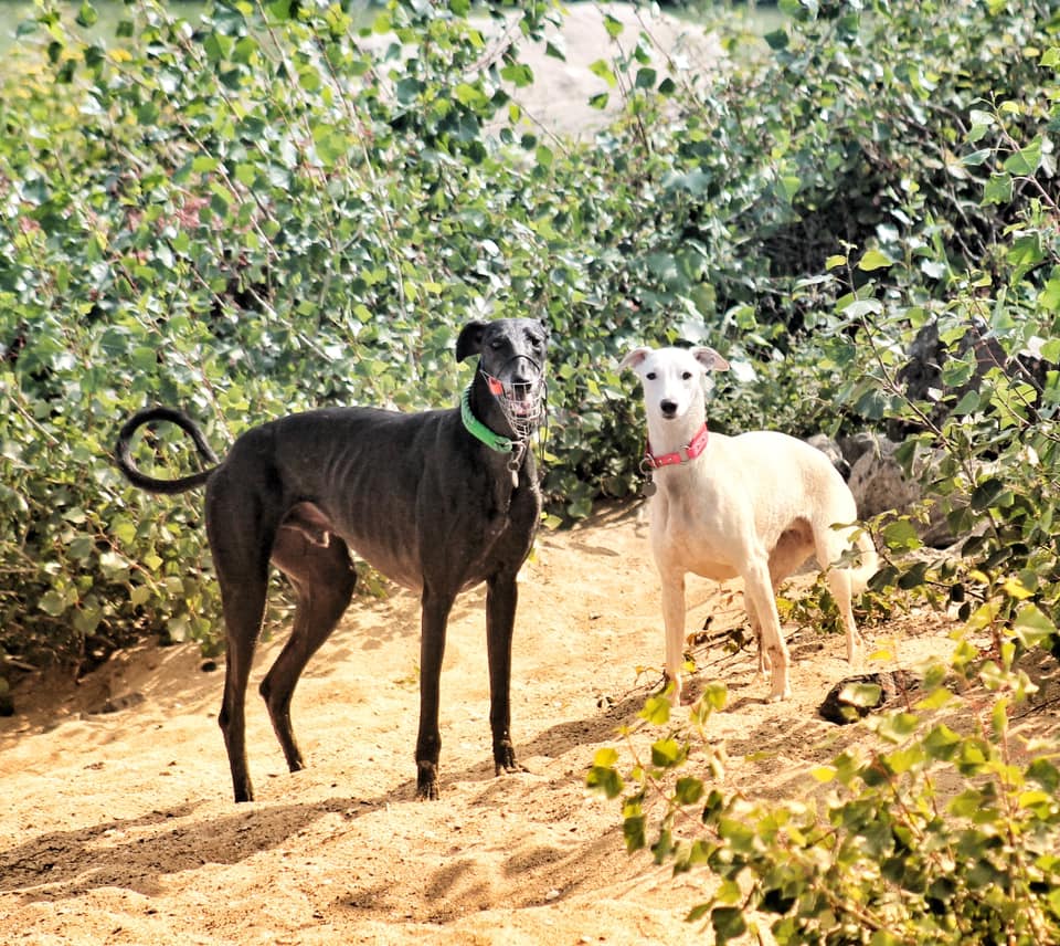 215242793 5751158531592793 7839760275207353142 n