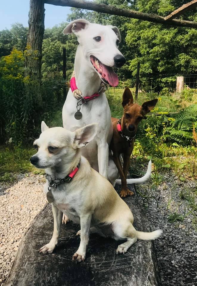 215350082 5751159524926027 5574007043989425878 n