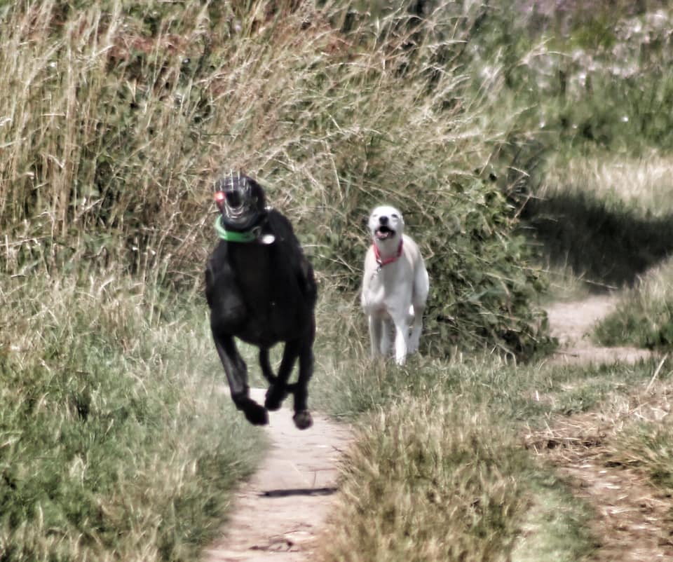 216668838 5751159914925988 2202124703120776307 n