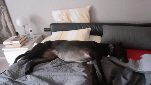 Skadi hat ihre Köfferchen gepackt...