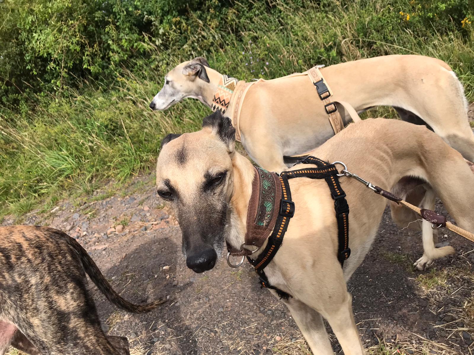 WhatsApp Image 2021 08 08 at 17.38.00