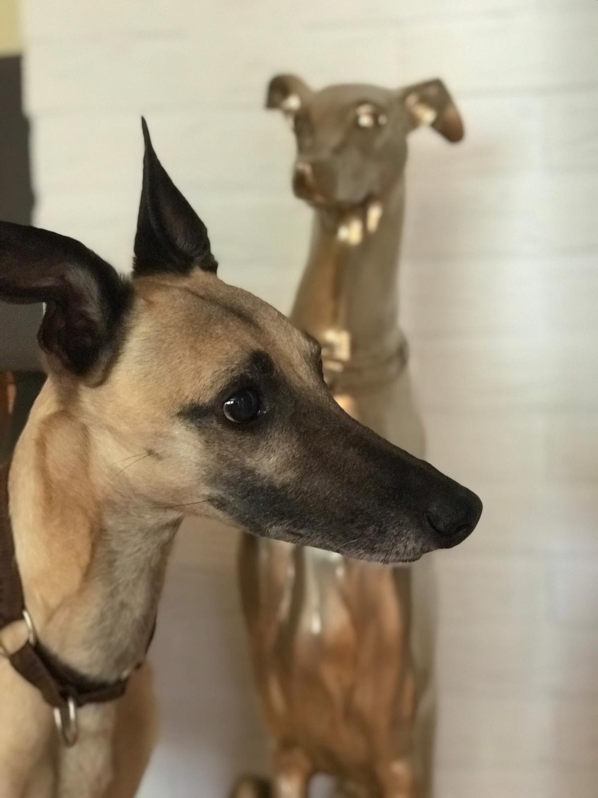 WhatsApp Image 2021 08 09 at 21.28.49