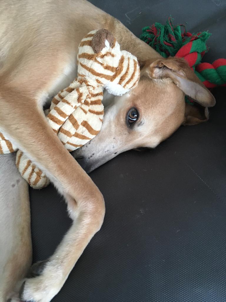 WhatsApp Image 2021 08 10 at 16.13.51