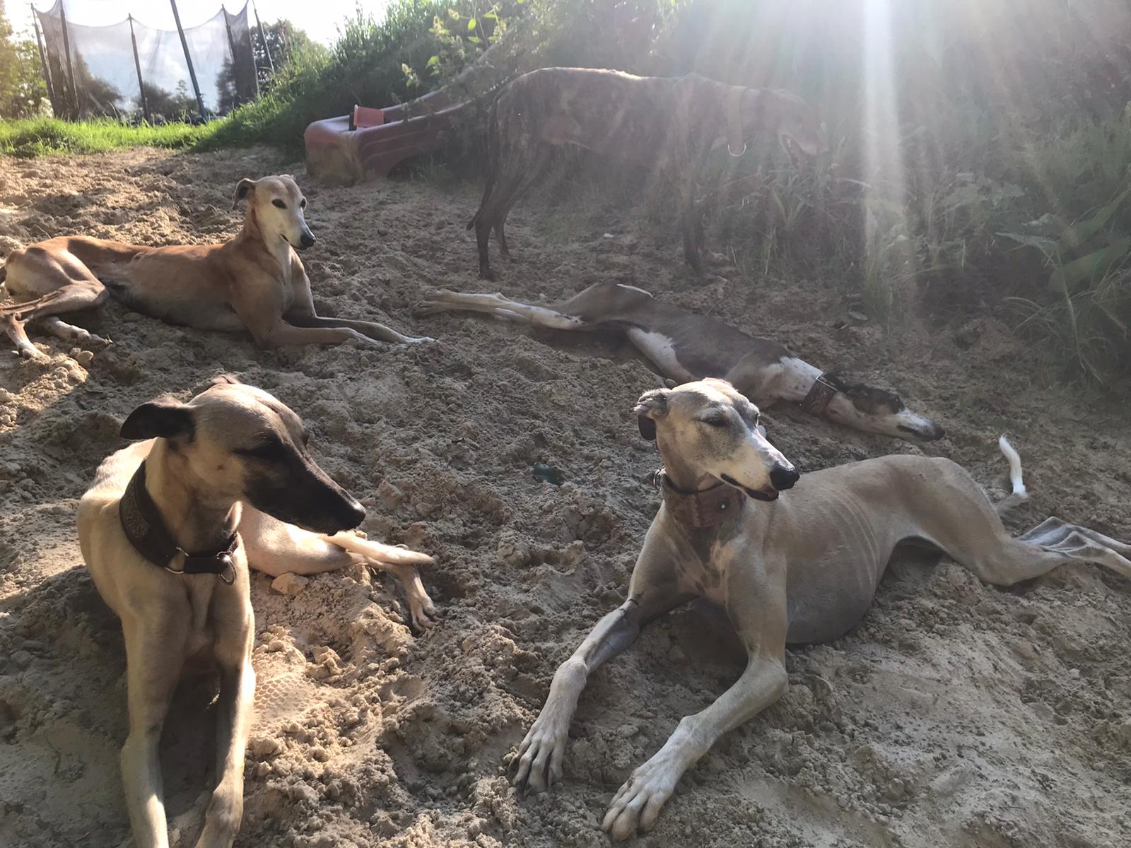 WhatsApp Image 2021 09 01 at 17.34.14