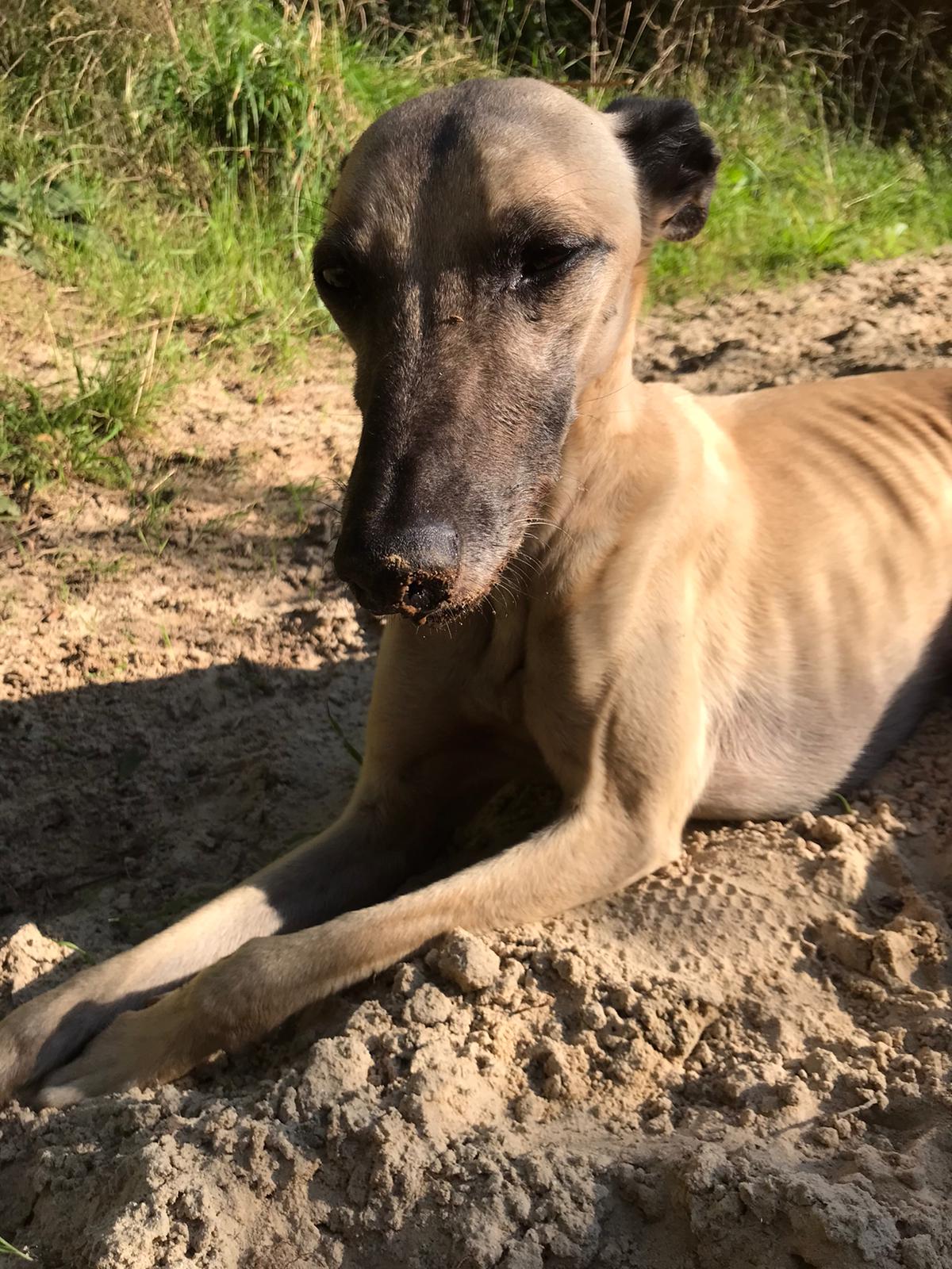 WhatsApp Image 2021 09 01 at 17.34.14 1