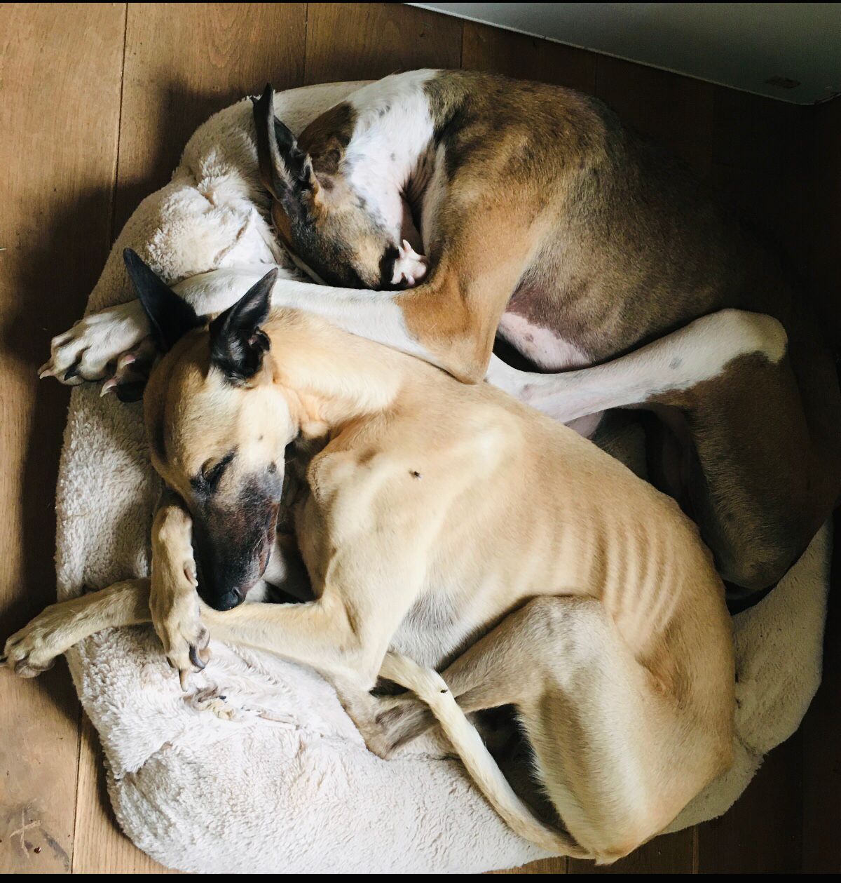 WhatsApp Image 2021 09 02 at 08.46.12