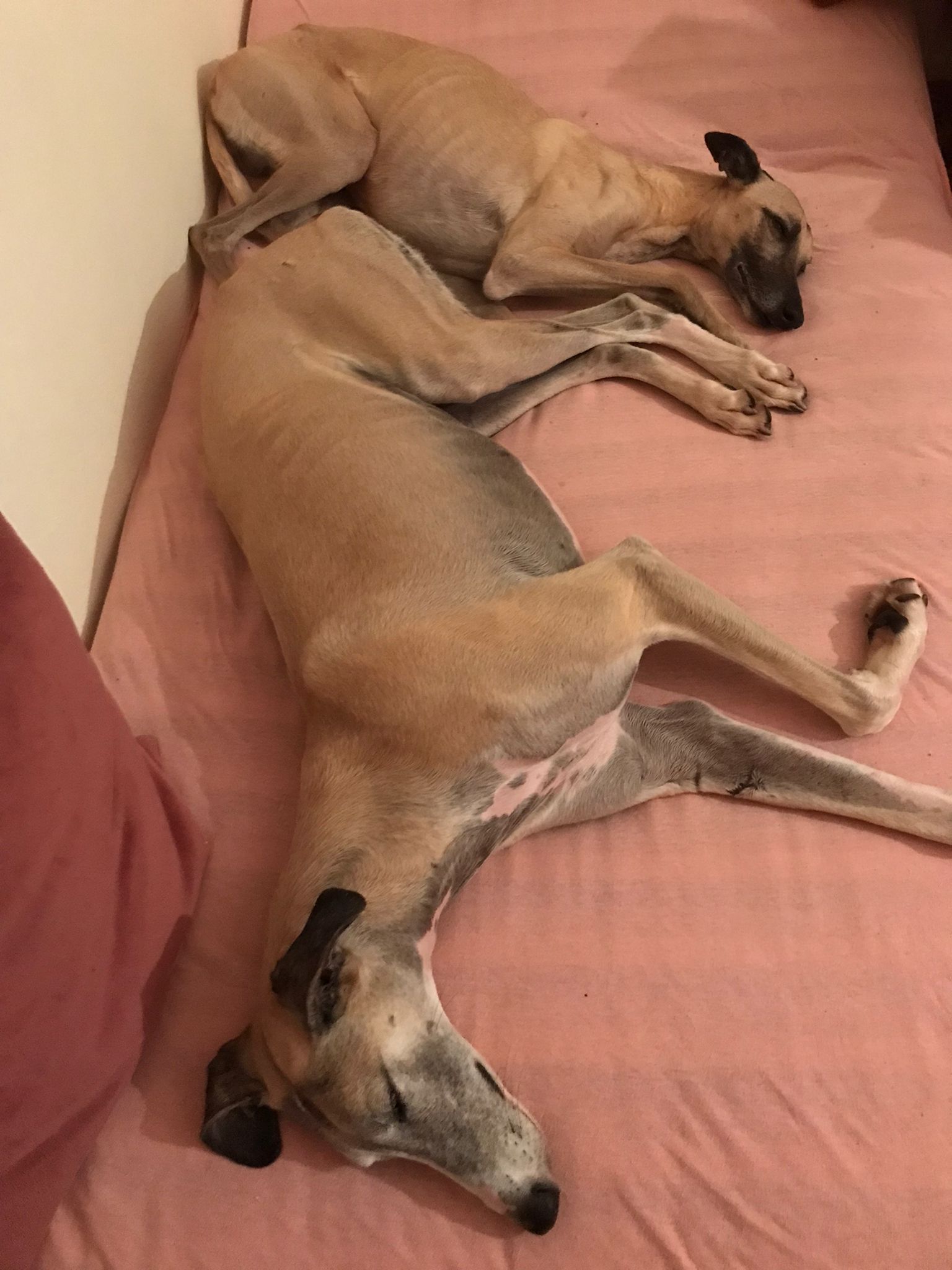 WhatsApp Image 2021 09 18 at 10.19.49