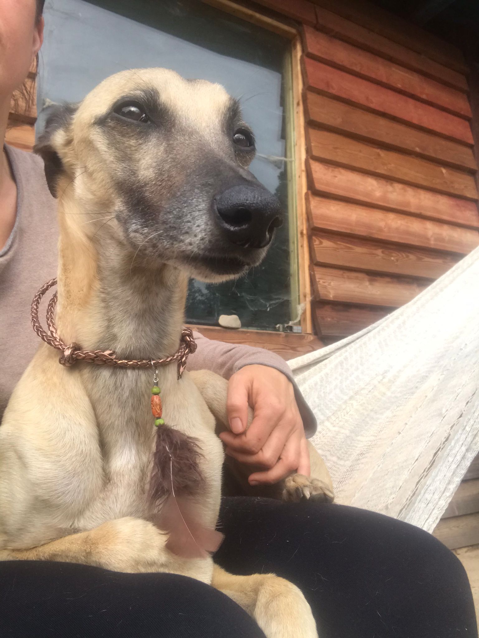 WhatsApp Image 2021 09 21 at 16.13.20