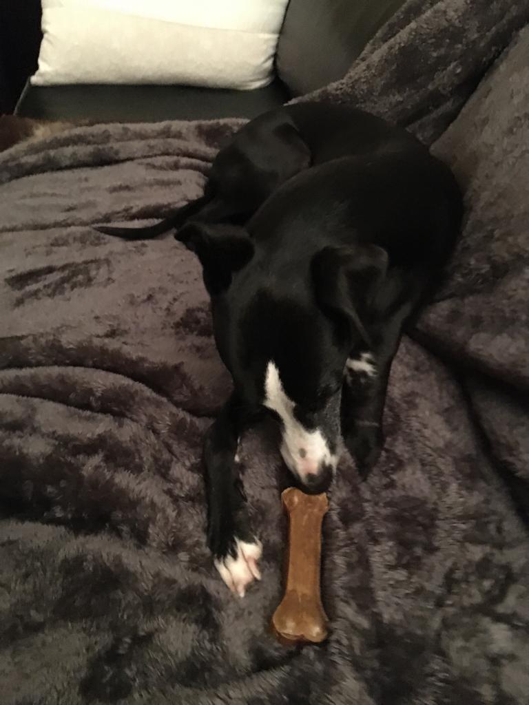 WhatsApp Image 2021 09 27 at 07.51.31 1