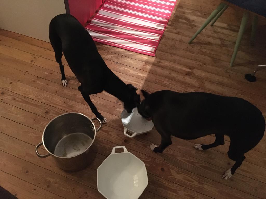 WhatsApp Image 2021 10 03 at 20.54.41 1