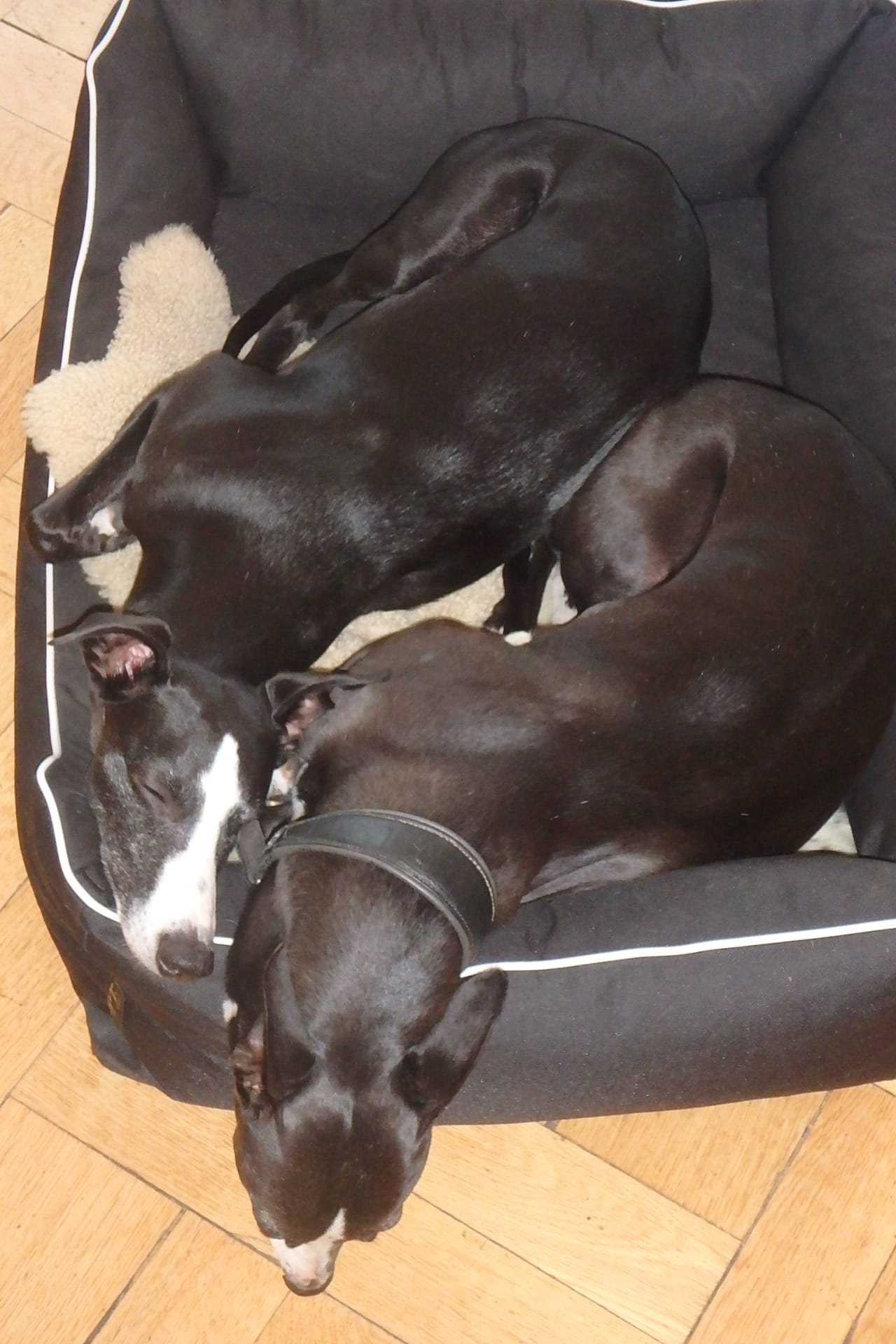 WhatsApp Image 2021 10 08 at 16.37.20