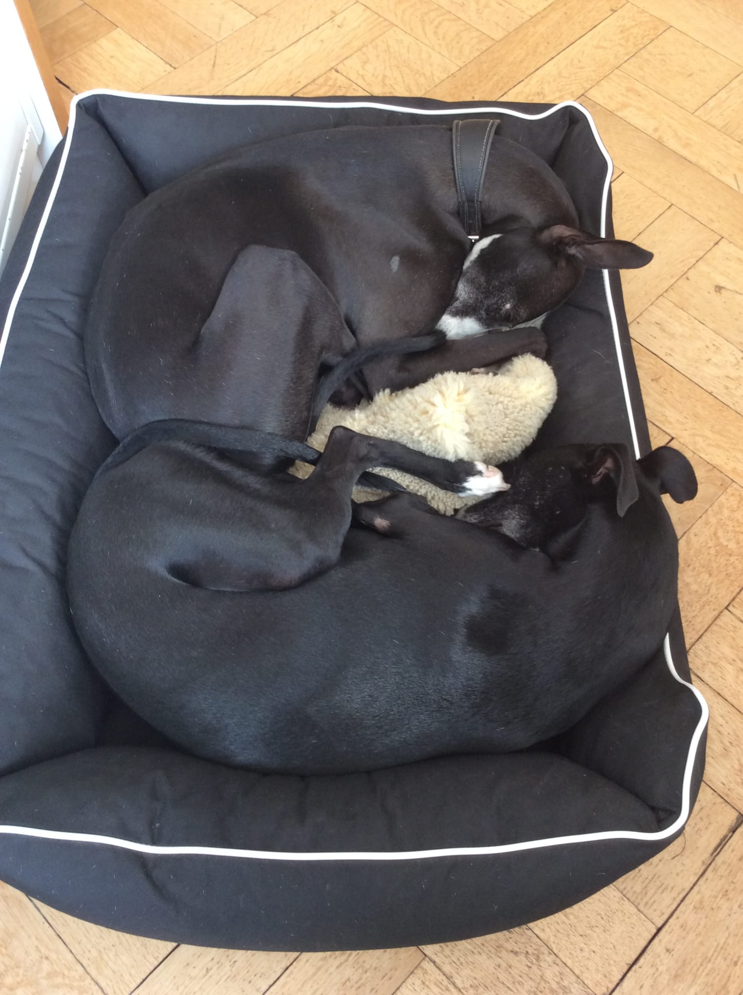 WhatsApp Image 2021 10 08 at 16.37.20 1