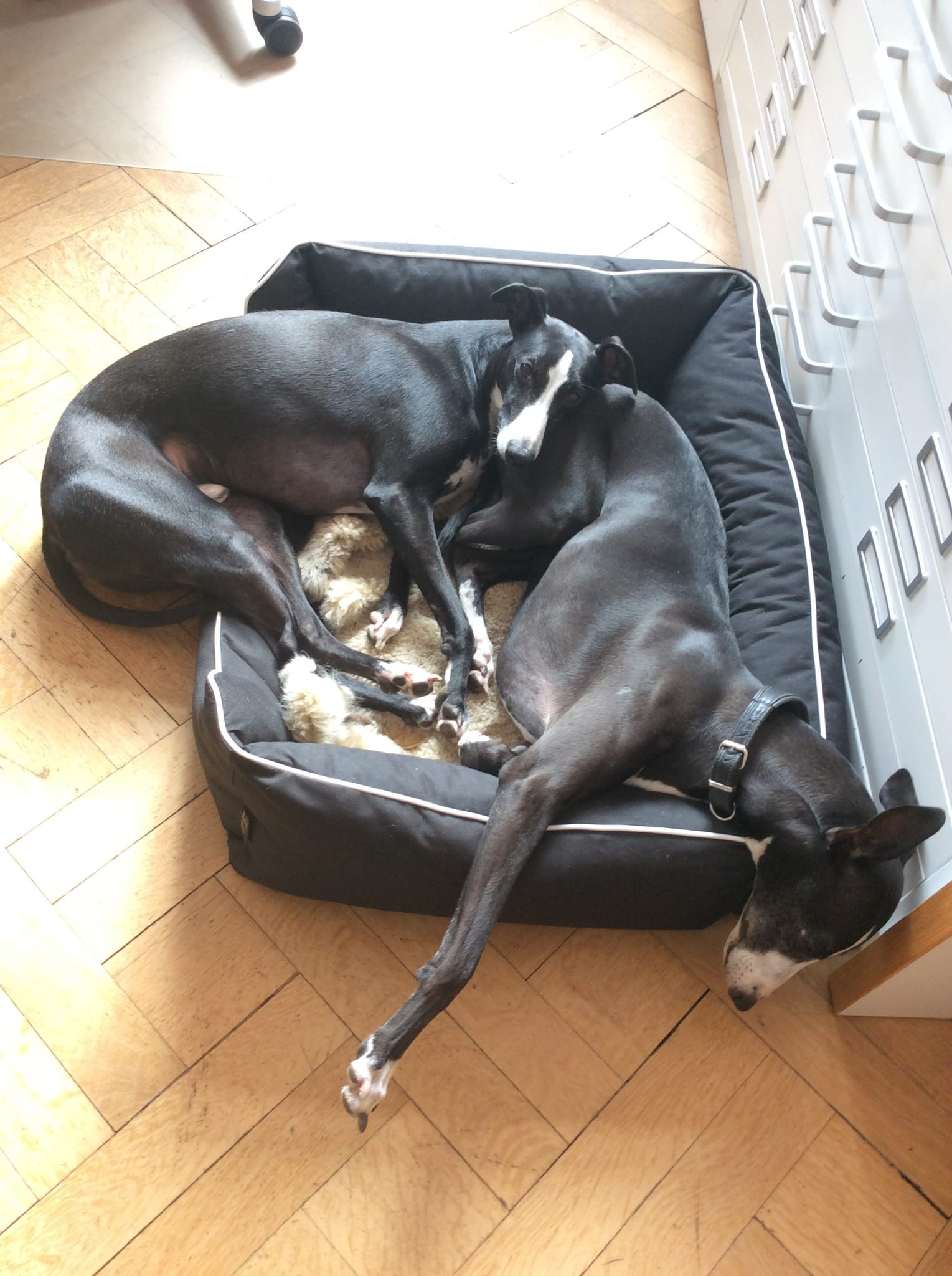 WhatsApp Image 2021 10 08 at 16.37.20 2