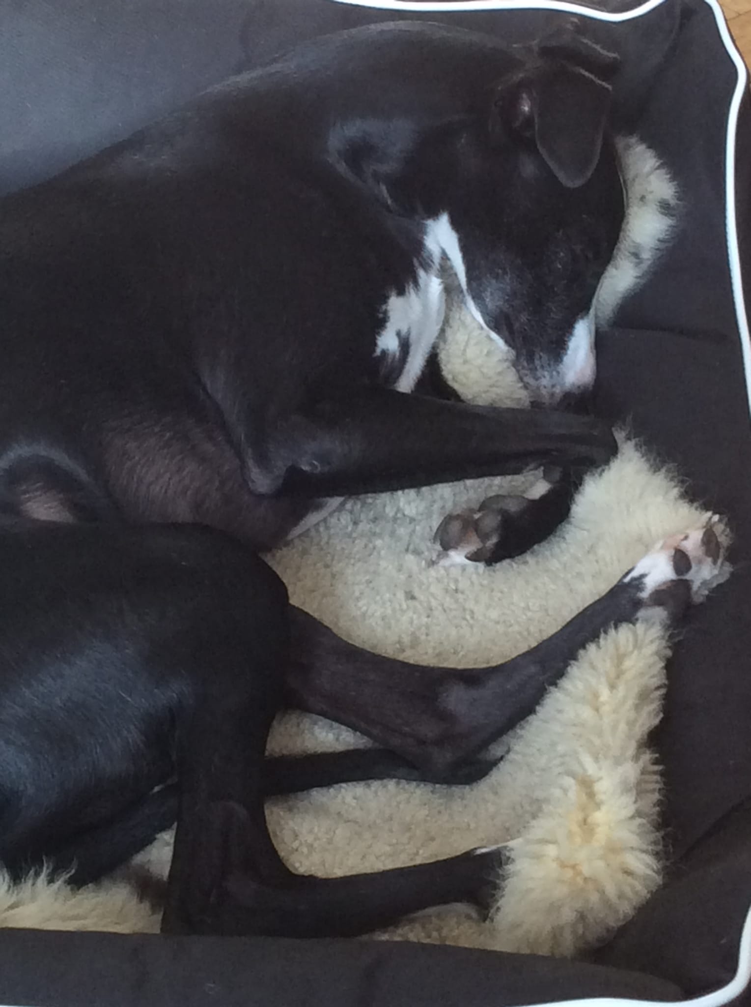 WhatsApp Image 2021 10 08 at 16.37.20 3