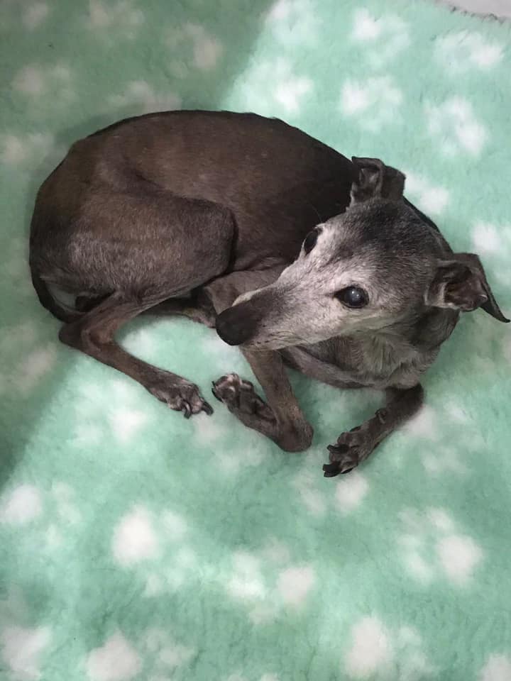 Happy birthday Euch allen!