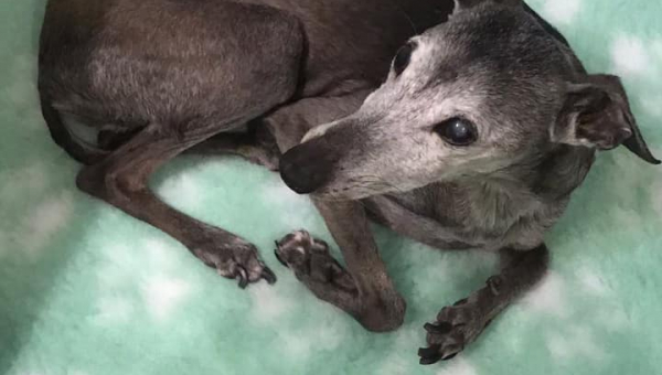 Happy birthday Euch allen!