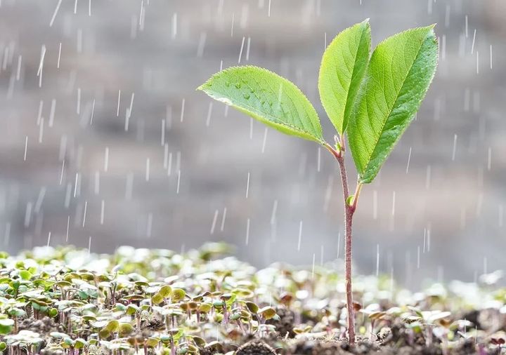 Aktuelle Hochwasserkatastrophe