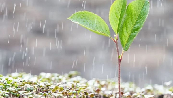 Aktuelle Hochwasserkatastrophe