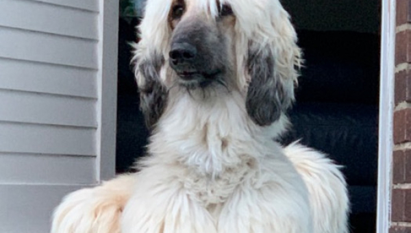 Alles Liebe schöne Johanna