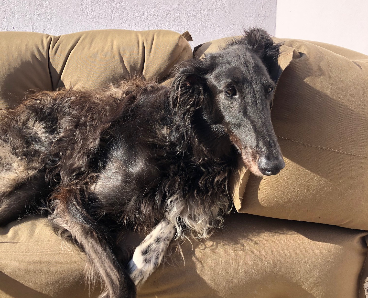 Unsere arme kleine Tink...