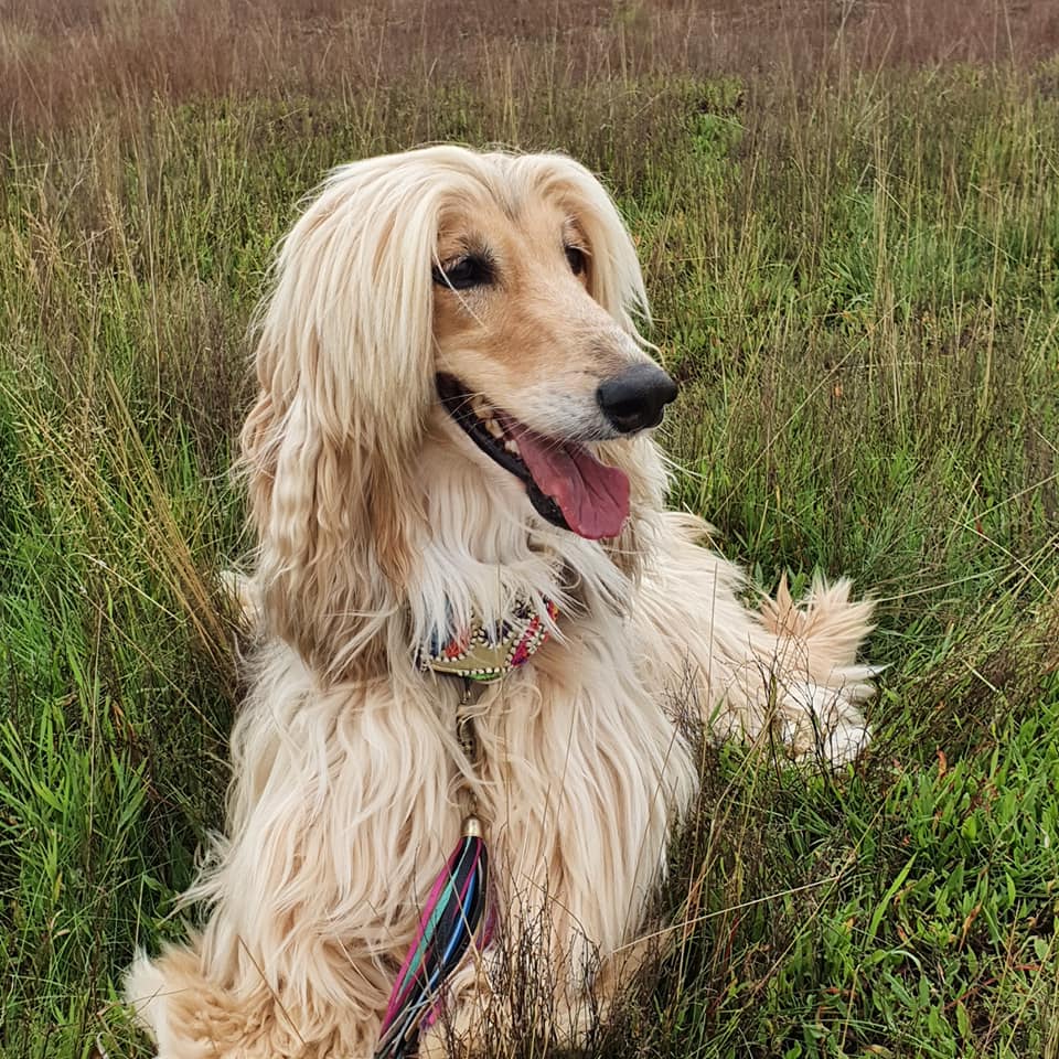 Ein Jahr mit Dolores