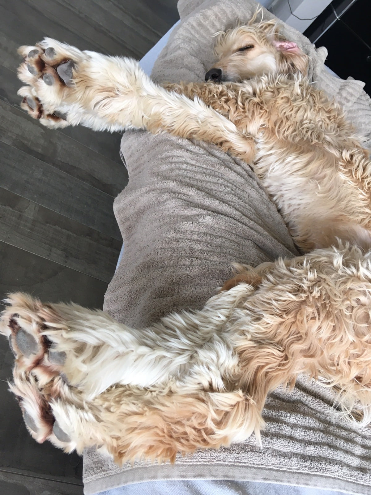 240904259 561992364952977 7327283616560025858 n