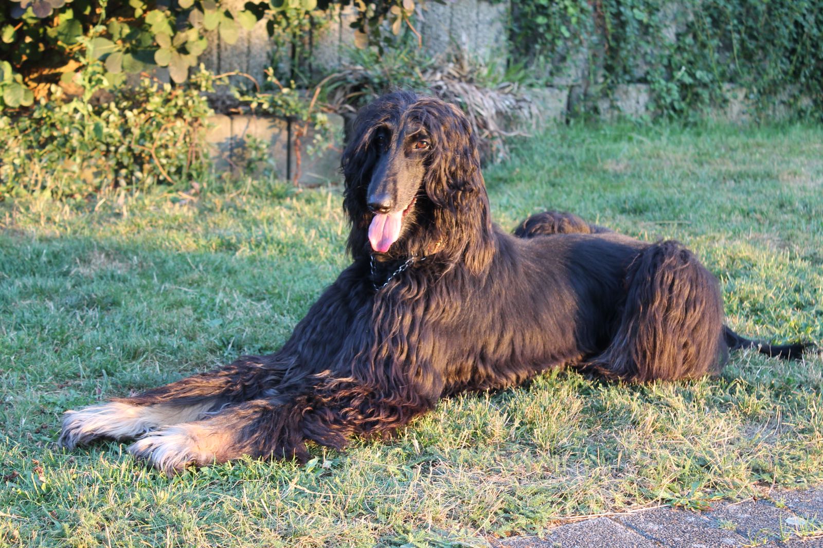 Drei Jahre mit Cheri