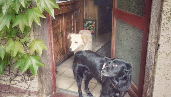 Nele hat ihr Zuhause gefunden