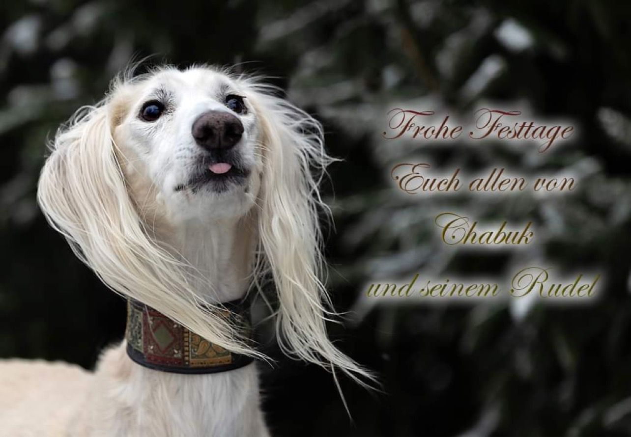 Weihnachtlicher Chabuk