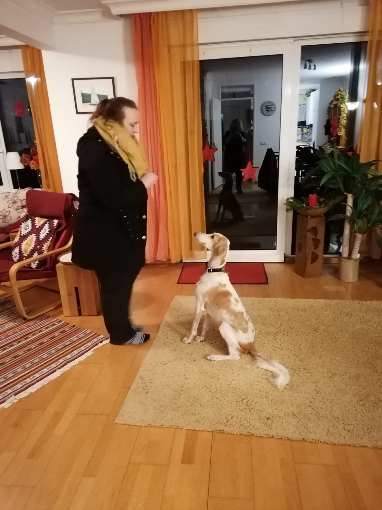 Unser Weihnachtsgeschenk