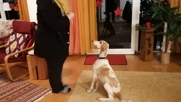 Unser Weihnachtsgeschenk