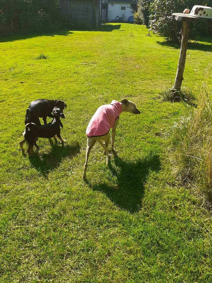 received 1854665174705133